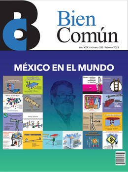 Bien Com�n Revista Bien Com�n No. 335