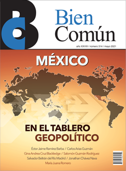 Bien Comn Revista Bien Comn No. 314