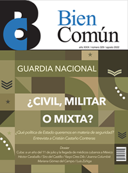 Artculos Florentina Villalobos de Pineda